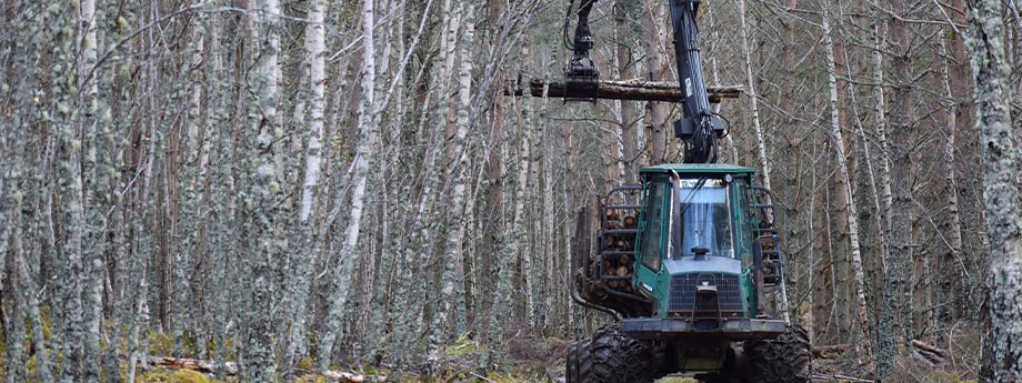 Förberedande arbeten för framtidens vattenproduktion