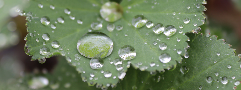 Nytt projekt om hållbar vattenanvändning
